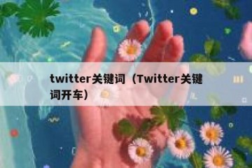 twitter关键词（Twitter关键词开车）