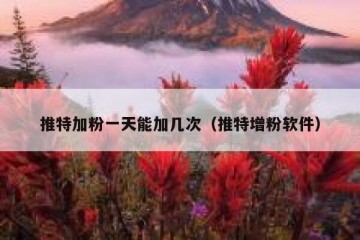 推特加粉一天能加几次（推特增粉软件）