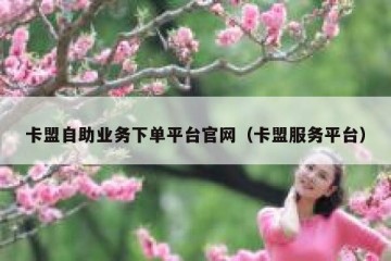 卡盟自助业务下单平台官网（卡盟服务平台）