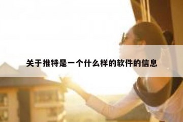 关于推特是一个什么样的软件的信息