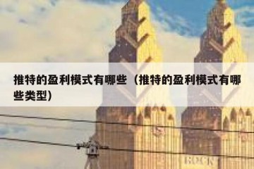 推特的盈利模式有哪些（推特的盈利模式有哪些类型）