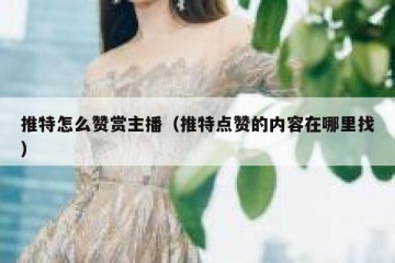 推特怎么赞赏主播（推特点赞的内容在哪里找）