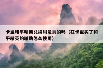 卡盟和平精英兑换码是真的吗（在卡盟买了和平精英的辅助怎么使用）