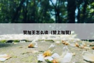 赞加王怎么读（赞上加赞）