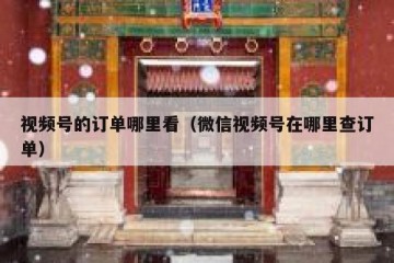 视频号的订单哪里看（微信视频号在哪里查订单）