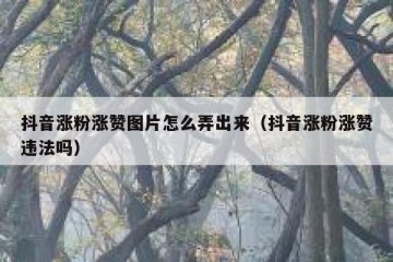 抖音涨粉涨赞图片怎么弄出来（抖音涨粉涨赞违法吗）