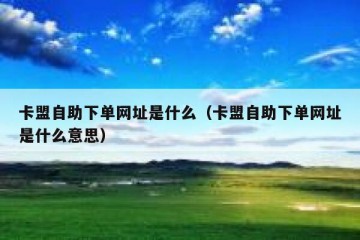 卡盟自助下单网址是什么（卡盟自助下单网址是什么意思）