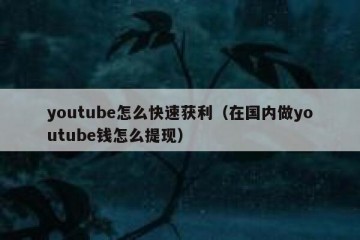 youtube怎么快速获利（在国内做youtube钱怎么提现）