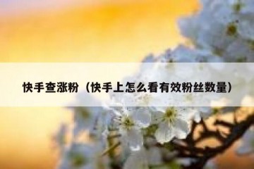 快手查涨粉（快手上怎么看有效粉丝数量）