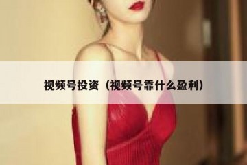 视频号投资（视频号靠什么盈利）