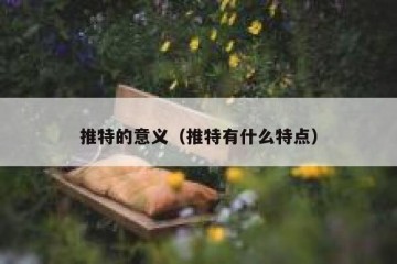 推特的意义（推特有什么特点）