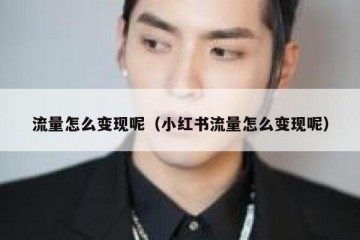 流量怎么变现呢（小红书流量怎么变现呢）