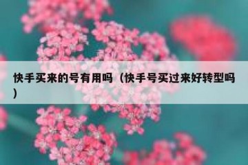 快手买来的号有用吗（快手号买过来好转型吗）
