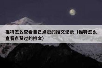 推特怎么查看自己点赞的推文记录（推特怎么查看点赞过的推文）