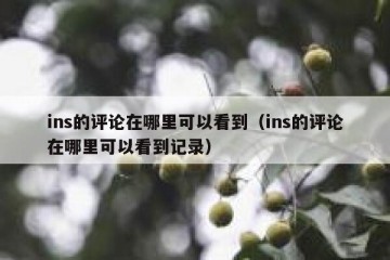 ins的评论在哪里可以看到（ins的评论在哪里可以看到记录）