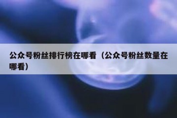 公众号粉丝排行榜在哪看（公众号粉丝数量在哪看）