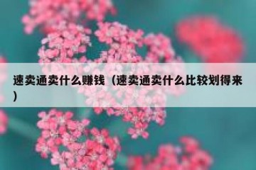 速卖通卖什么赚钱（速卖通卖什么比较划得来）