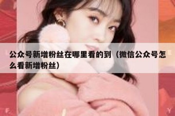 公众号新增粉丝在哪里看的到（微信公众号怎么看新增粉丝）