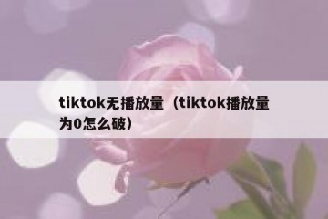 tiktok无播放量（tiktok播放量为0怎么破）