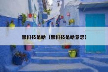 黑科技是啥（黑科技是啥意思）