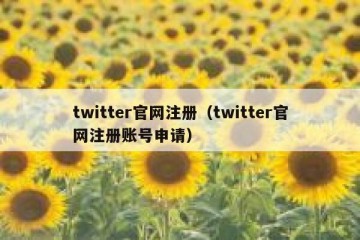 twitter官网注册（twitter官网注册账号申请）