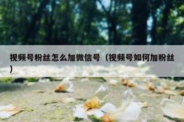 视频号粉丝怎么加微信号（视频号如何加粉丝）