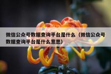 微信公众号数据查询平台是什么（微信公众号数据查询平台是什么意思）