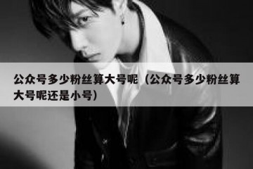 公众号多少粉丝算大号呢（公众号多少粉丝算大号呢还是小号）