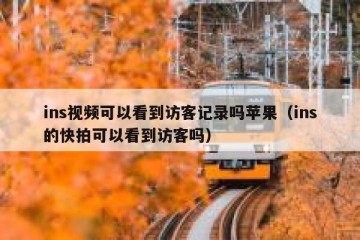 ins视频可以看到访客记录吗苹果（ins的快拍可以看到访客吗）
