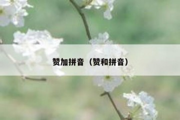 赞加拼音（赞和拼音）