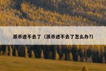 派币进不去了（派币进不去了怎么办?）