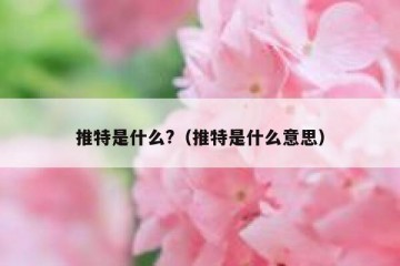 推特是什么?（推特是什么意思）