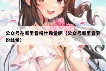 公众号在哪里看粉丝数量啊（公众号哪里看到粉丝量）