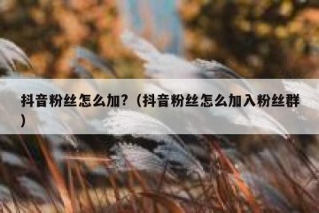 抖音粉丝怎么加?（抖音粉丝怎么加入粉丝群）