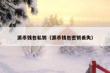 派币钱包私钥（派币钱包密钥丢失）