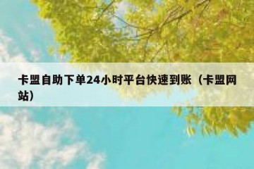 卡盟自助下单24小时平台快速到账（卡盟网站）