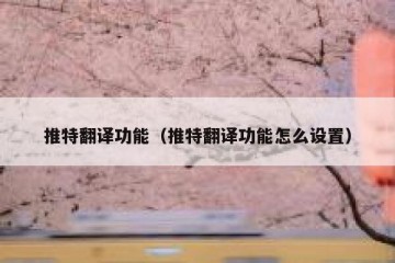推特翻译功能（推特翻译功能怎么设置）