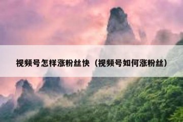 视频号怎样涨粉丝快（视频号如何涨粉丝）