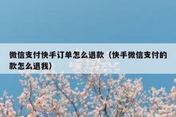 微信支付快手订单怎么退款（快手微信支付的款怎么退我）