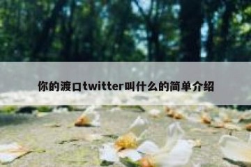 你的渡口twitter叫什么的简单介绍