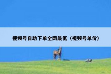 视频号自助下单全网最低（视频号单价）