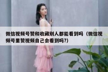微信视频号赞和收藏别人都能看到吗（微信视频号里赞视频自己会看到吗?）