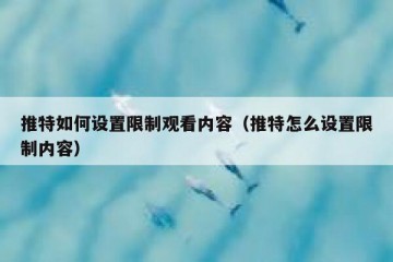 推特如何设置限制观看内容（推特怎么设置限制内容）