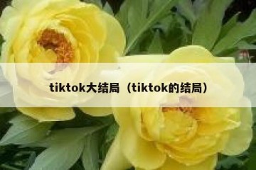 tiktok大结局（tiktok的结局）