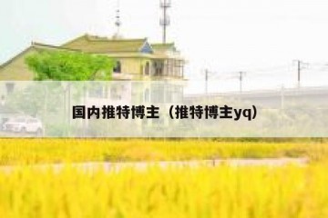 国内推特博主（推特博主yq）