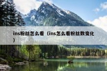 ins粉丝怎么看（ins怎么看粉丝数变化）