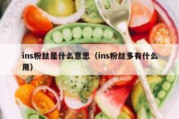 ins粉丝是什么意思（ins粉丝多有什么用）