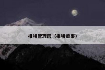 推特管理层（推特董事）