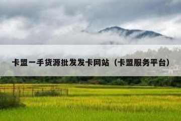卡盟一手货源批发发卡网站（卡盟服务平台）