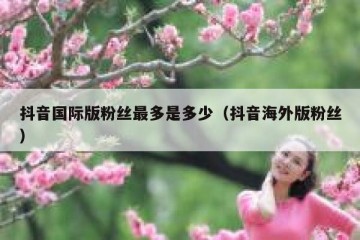 抖音国际版粉丝最多是多少（抖音海外版粉丝）